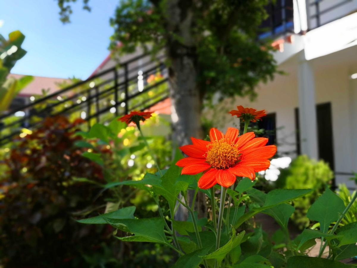 Angkor Hotel Siem Reap Eksteriør billede